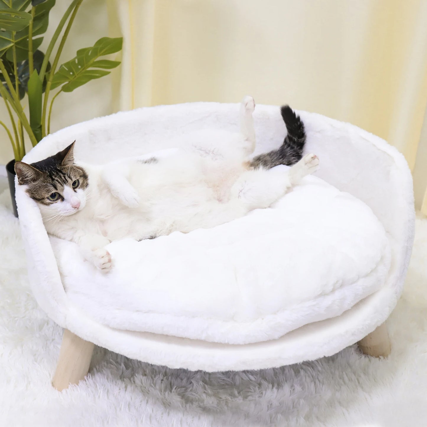 Pet Sofa Bed Raised Cat Chair Small Dog Couch Bed Removable Cushion