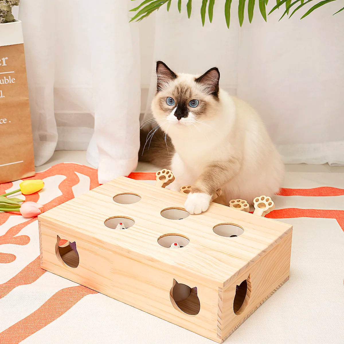 Cat Toys Interactive Whack-a-mole Solid Wood Toys for Indoor Cats