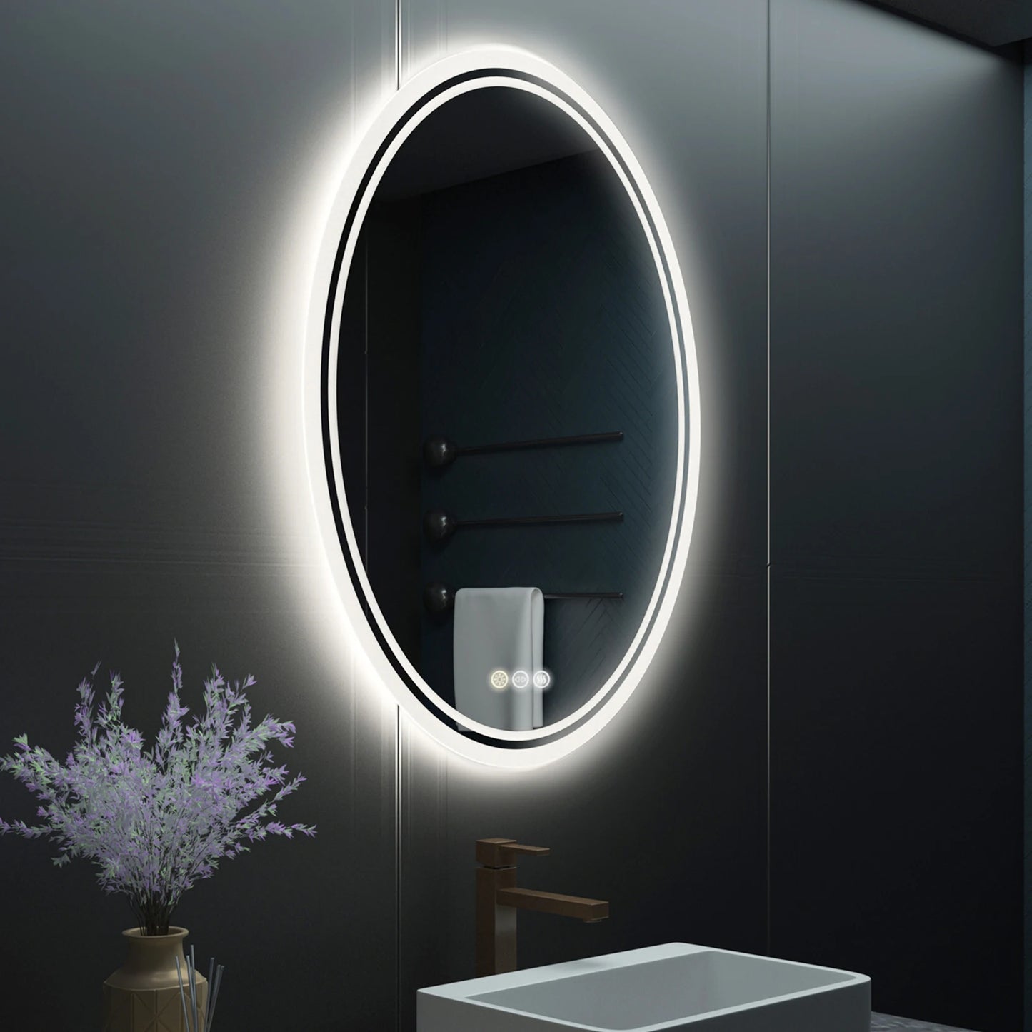 Round Vanity Mirror with Lights Wall Mounted Anti-Fog Lighted