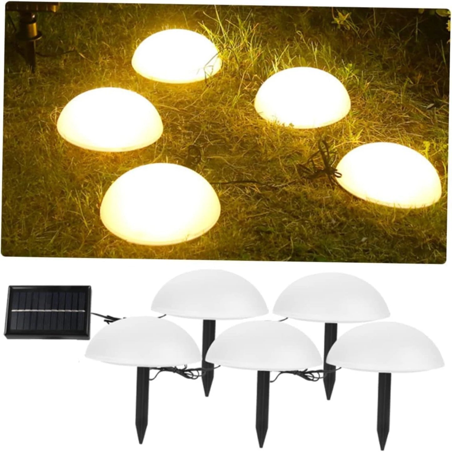 Elegant and Sturdy Outdoor Energy-saving Solar Garden Light with 5 Bright LED Light