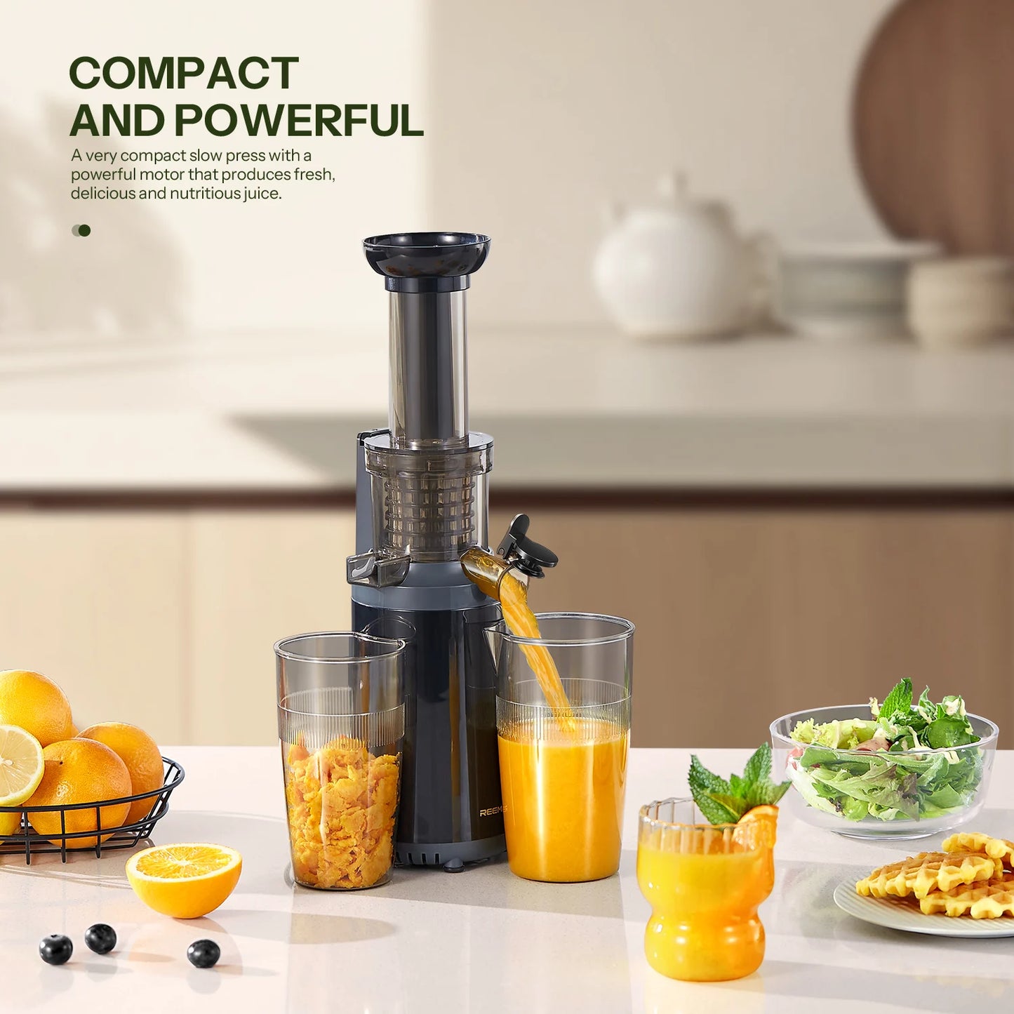 Cold Press juicer Machine Compact Size, Juice Extractor