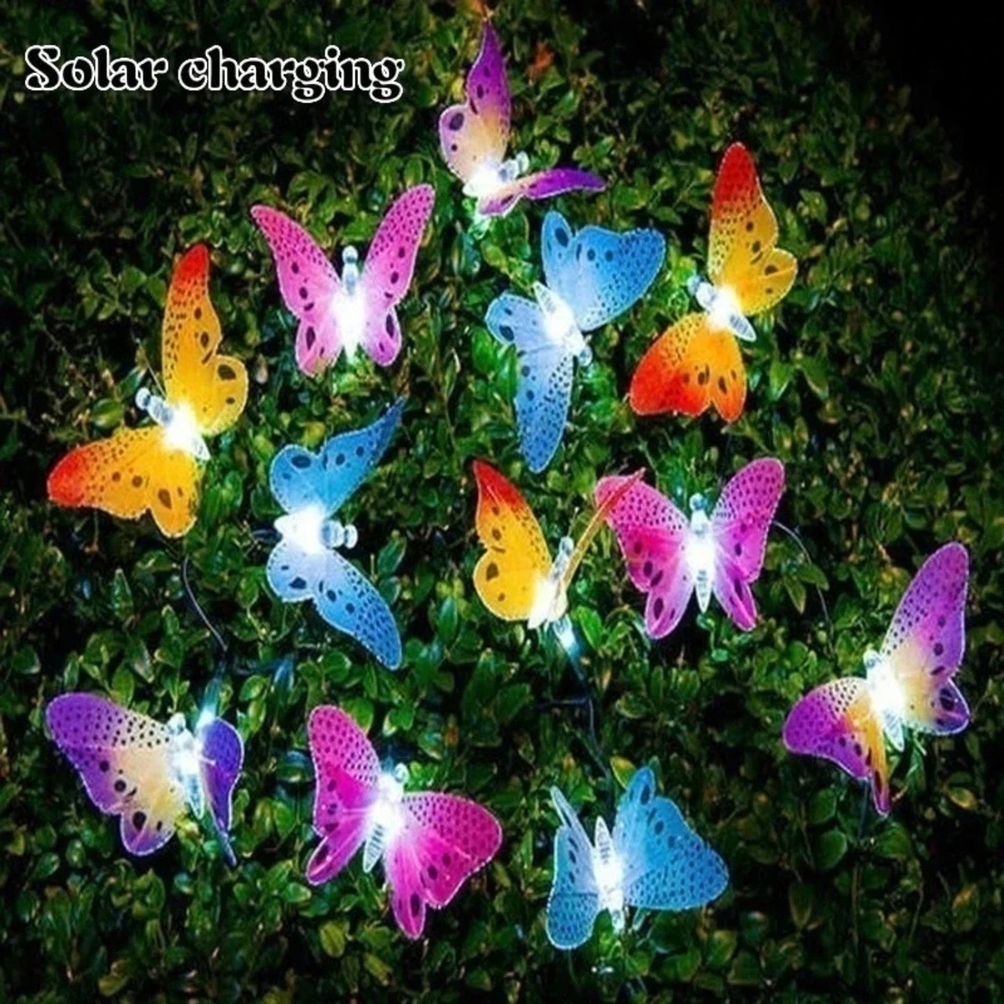 Decorative Solar Power Fibre Optic Outdoor String Light for Garden Decoration Suncatchers - Set of 12