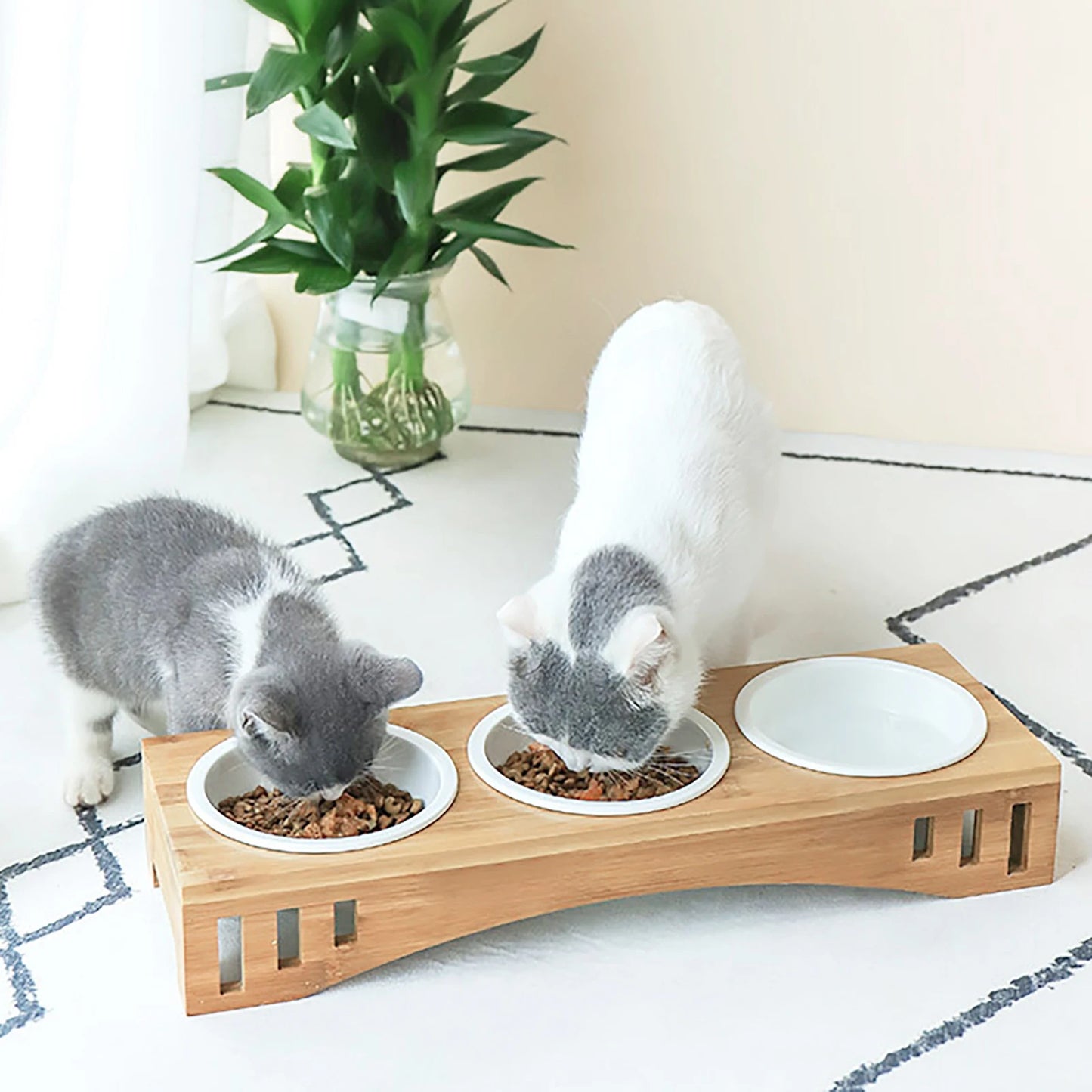 Cat Bowl Feeding and Water 3-Bowl Feeding Station with Raised Bamboo Stand