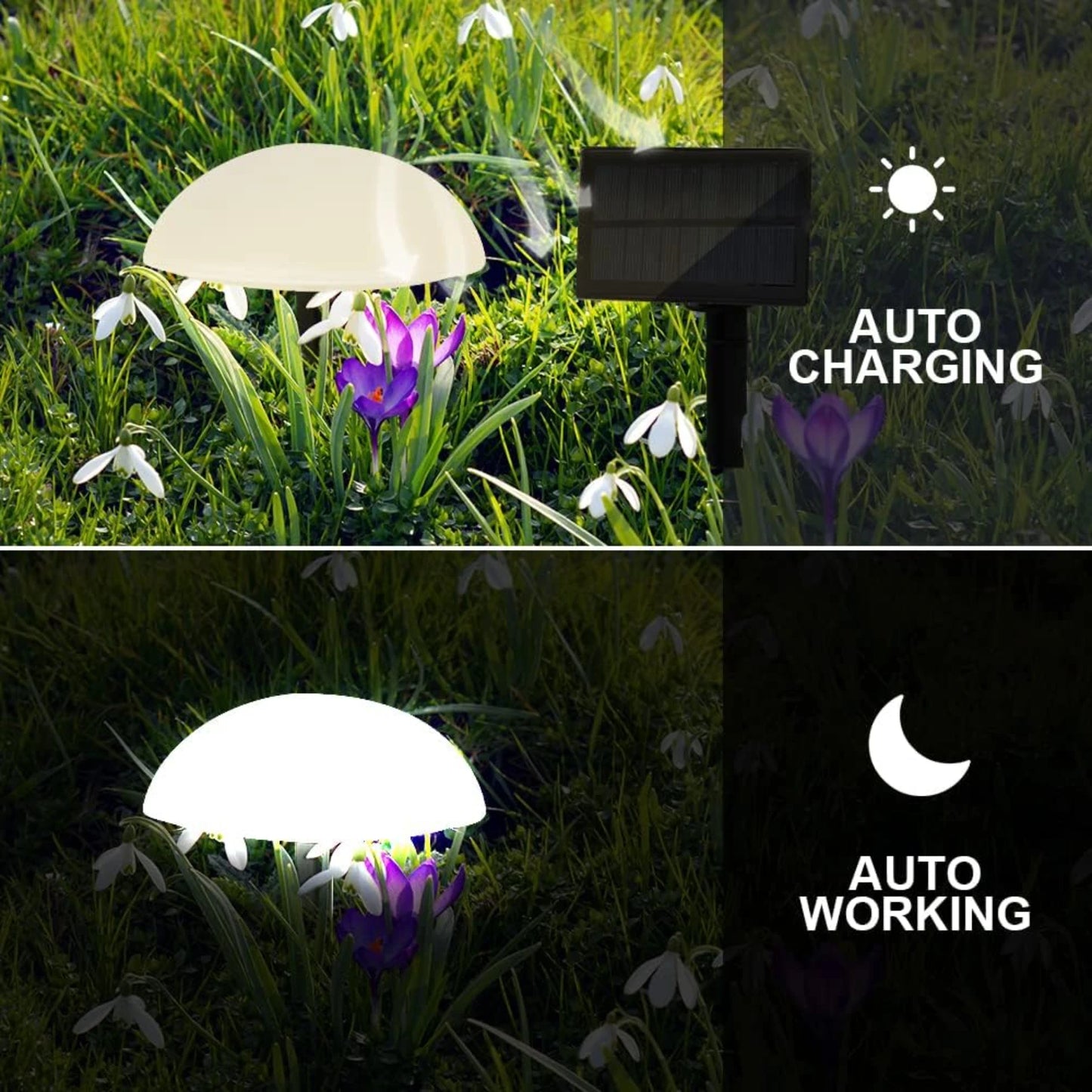 Elegant and Sturdy Outdoor Energy-saving Solar Garden Light with 5 Bright LED Light