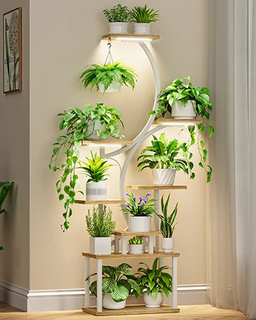 Stand Indoor with Grow Lights, 6-Tiered Tall Plant Shelf, 63"